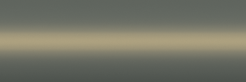 Renault DXA Urban Olive Metallic - Afbeelding 2
